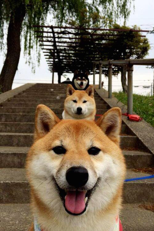 欧冠“幸运女神”的眷顾：那些不可思议的幸运进球，欧冠运动