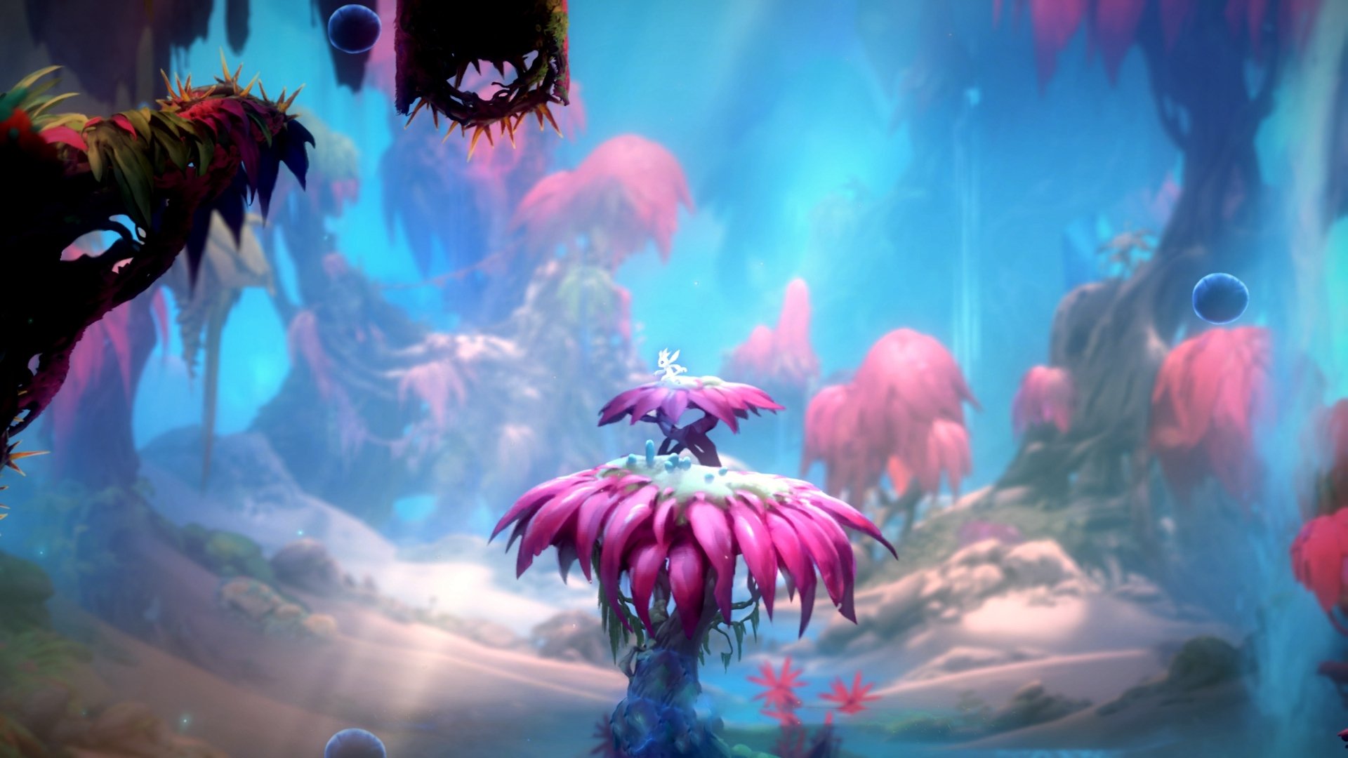 爱游戏体育app下载-球迷盛赞阿根廷“青春风暴”，阿根廷青训球员