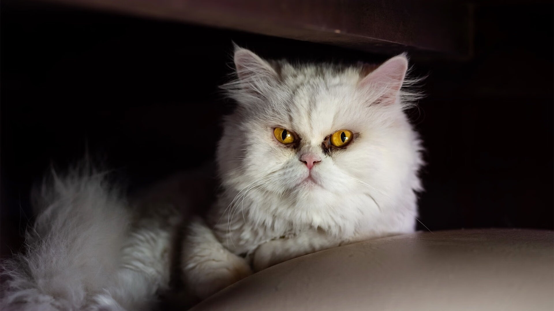 莱比锡攻势如雷，持续抢分，莱比锡吧