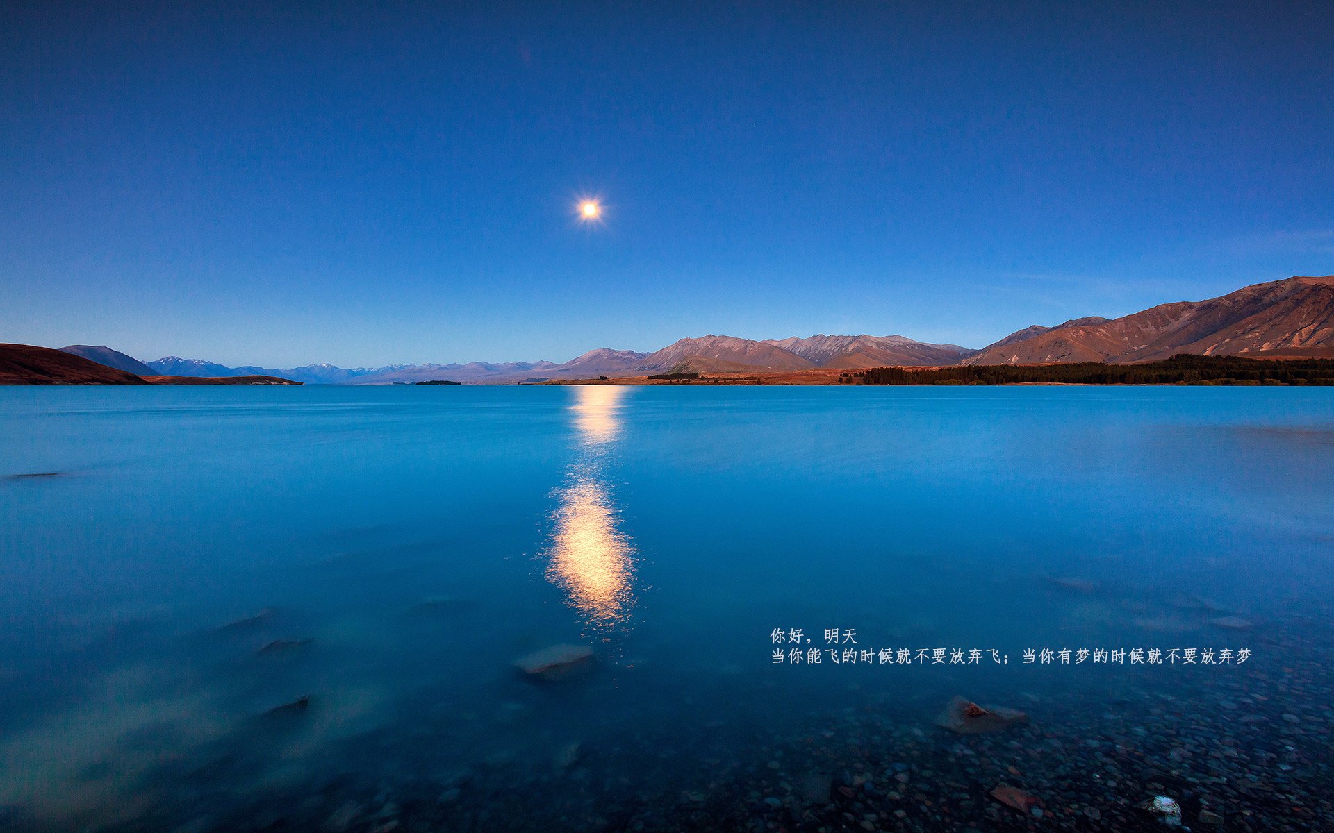 AC米兰青训培养效果显着,球队未来可期,ac米兰青训出品