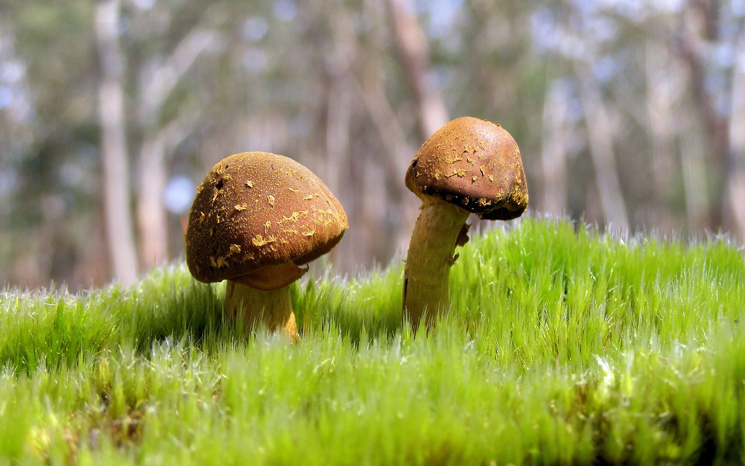 哈登状态复苏快船稳步前行，哈登恢复情况