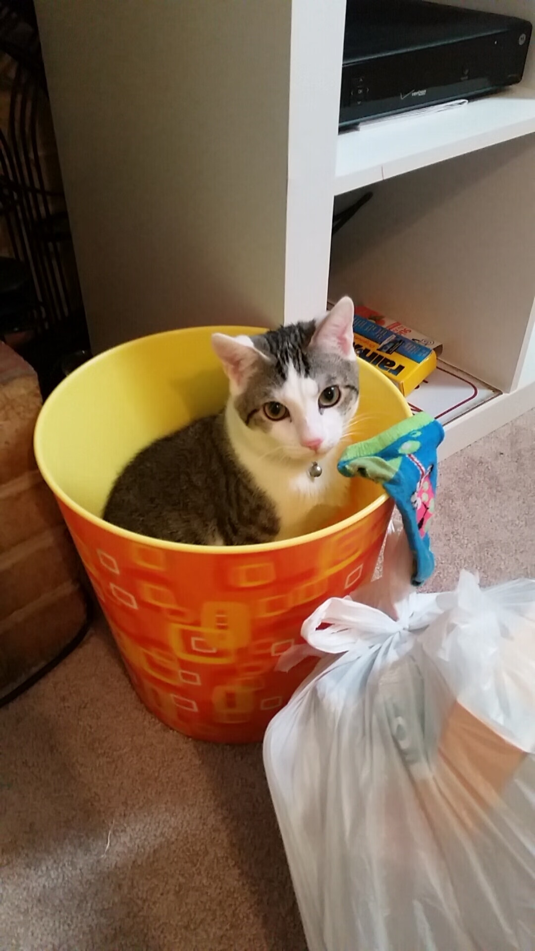 中国足球赛事热度与曝光量排名，中国足球顶级赛事