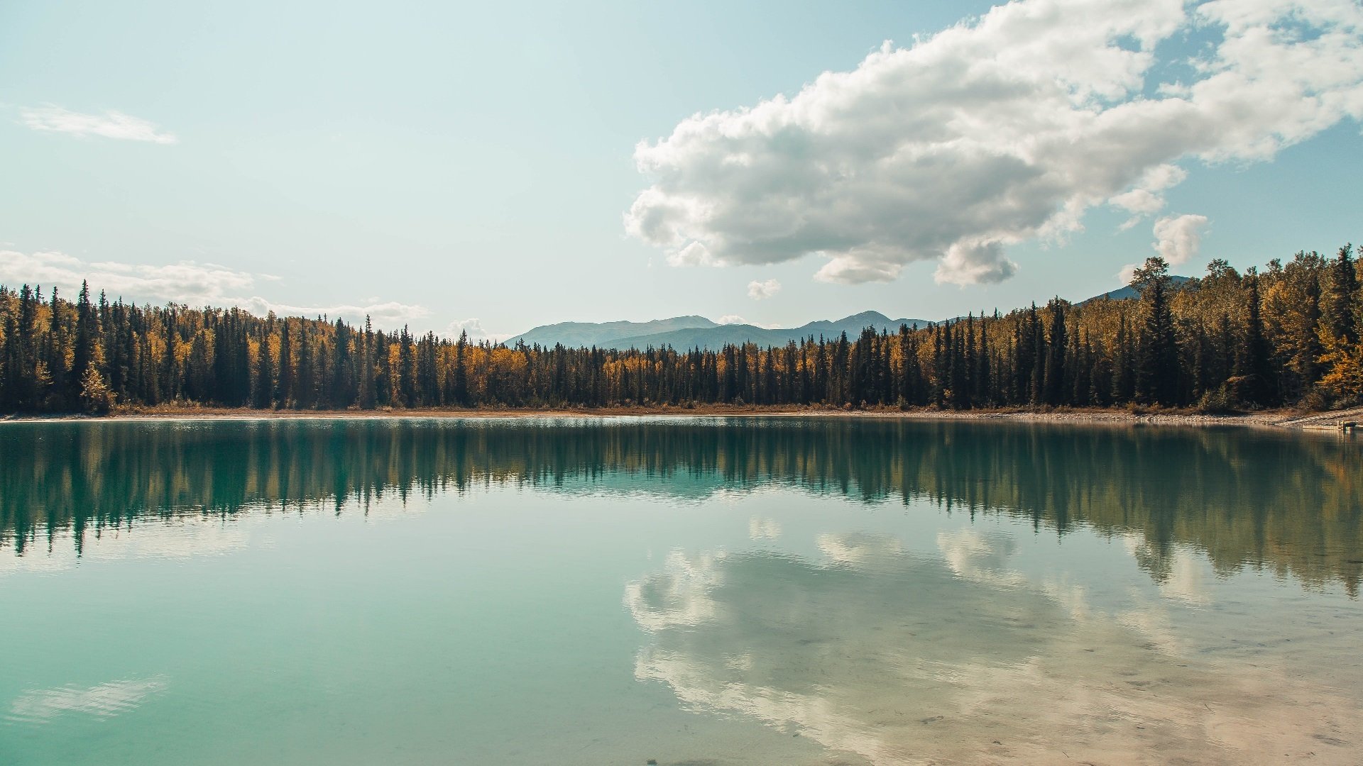 爱游戏体育-博塔弗戈门将多次关键扑救展现韧性，博塔佛戈对累体育
